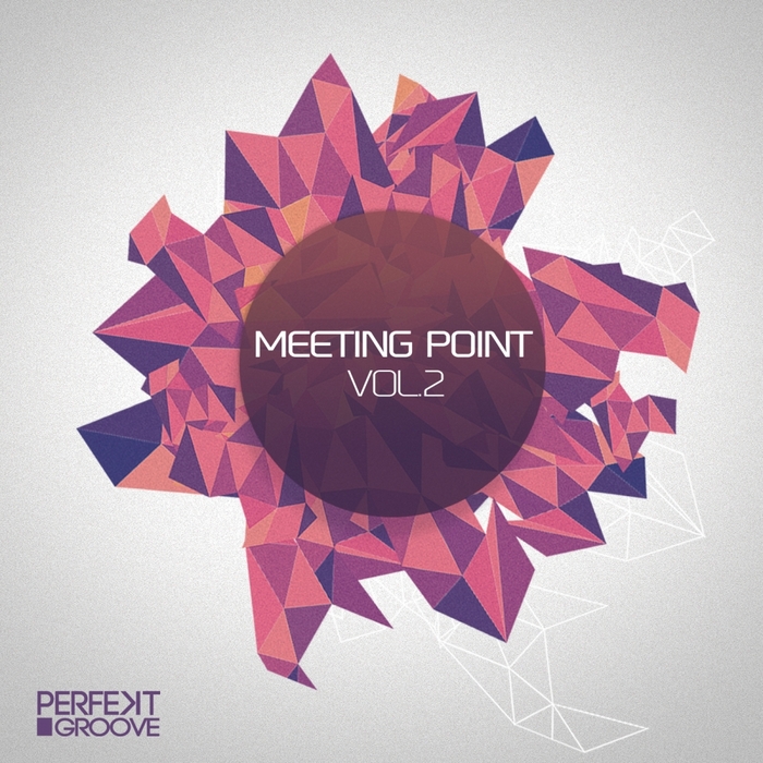 VARIOUS - Meeting Point Vol 2