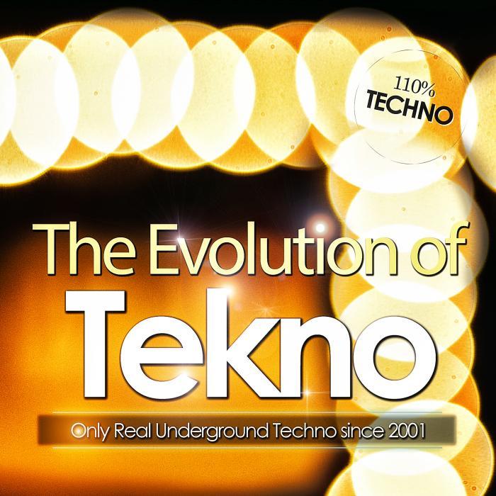 VARIOUS - The Evolution Of Tekno