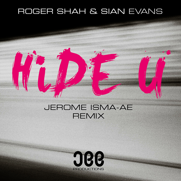 Roger Shah/Sian Evans - Hide U (Jerome Isma-Ae Remix)