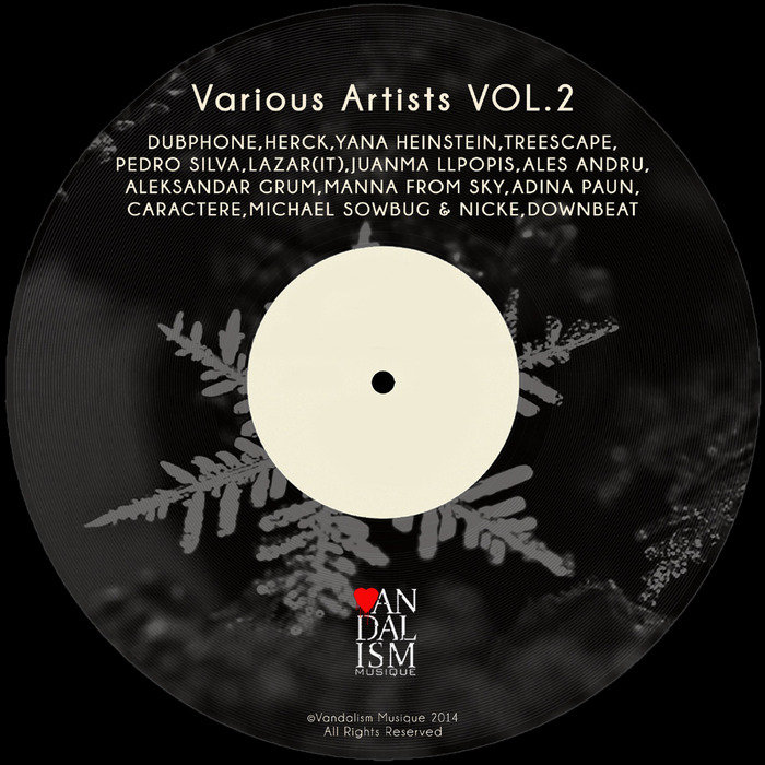 VARIOUS - Various Artists Vol 2