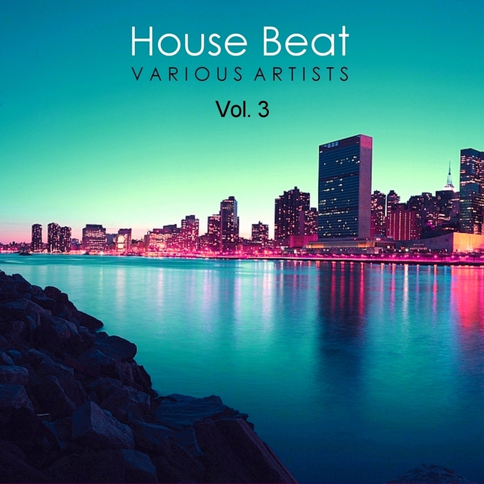 VARIOUS - House Beat Vol 3