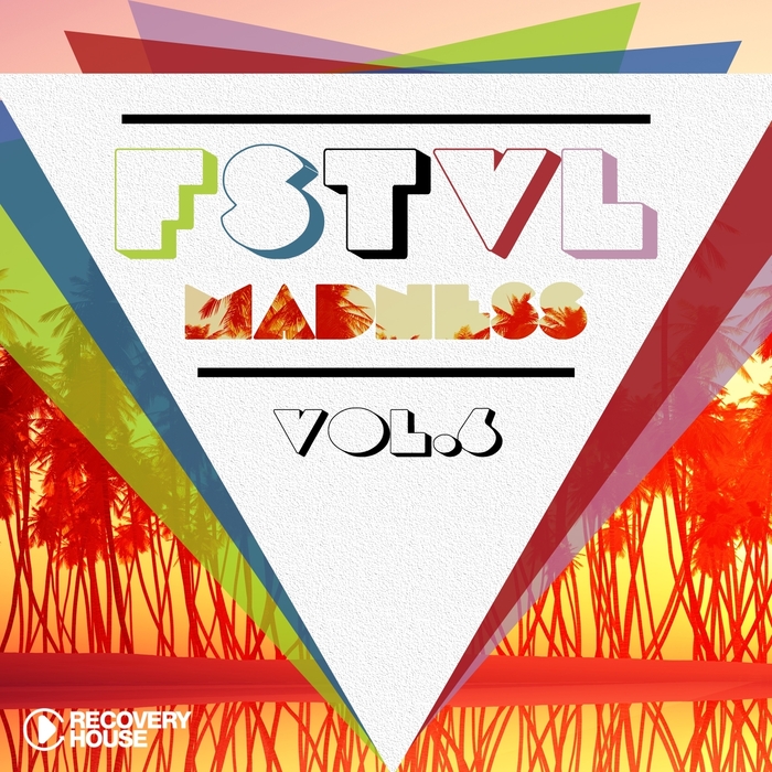 VARIOUS - FSTVL Madness Vol 6