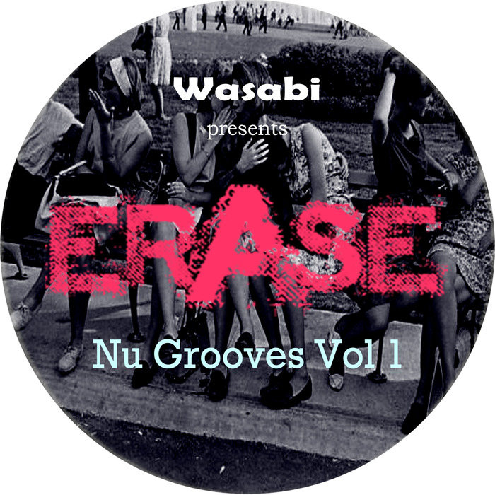 VARIOUS - Wasabi Presents Nu Grooves Vol 1