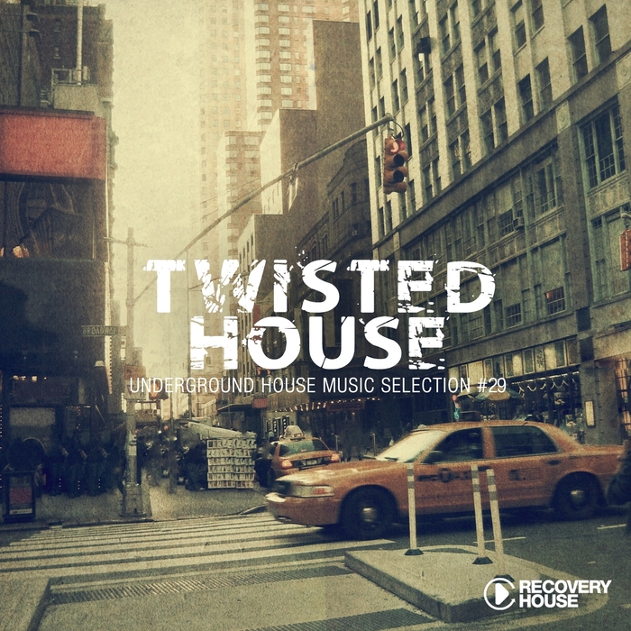 VARIOUS - Twisted House Vol 29
