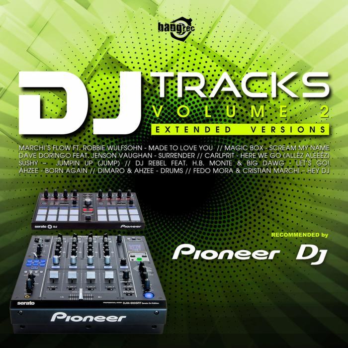VARIOUS - DJ Tracks Vol 2
