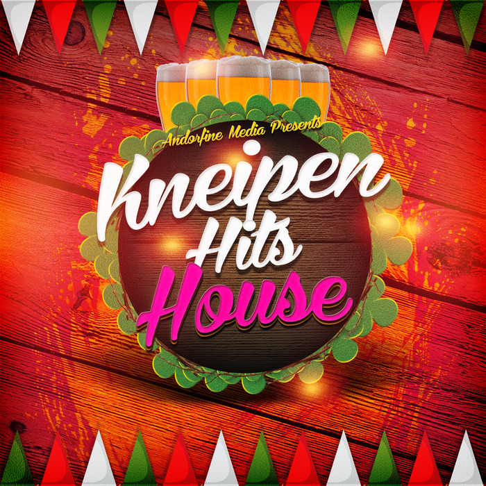 VARIOUS - Kneipen Hits House
