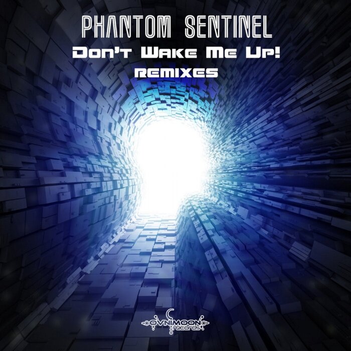 Dont wake me up remixes by phantom sentinel on mp3 wav flac aiff