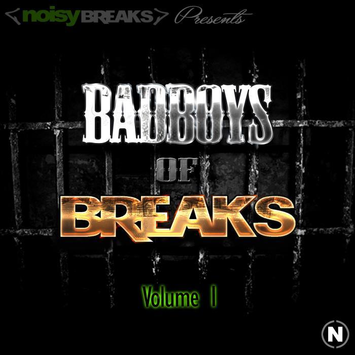 VARIOUS - BadBoys Of Breaks