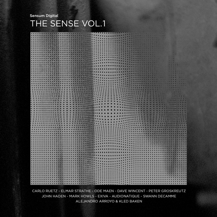 VARIOUS - The Sense Vol 1