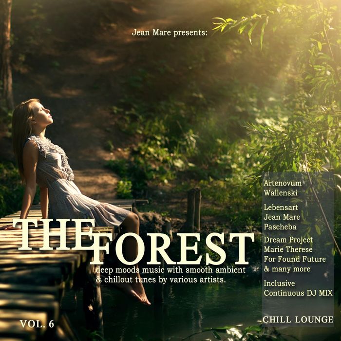 VARIOUS - The Forest Chill Lounge Vol 6 Deep Moods Music With Smooth Ambient & Chillout Tunes