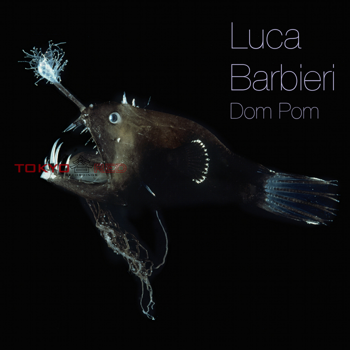 LUCA BARBIERI - Dom Pom (remixes)
