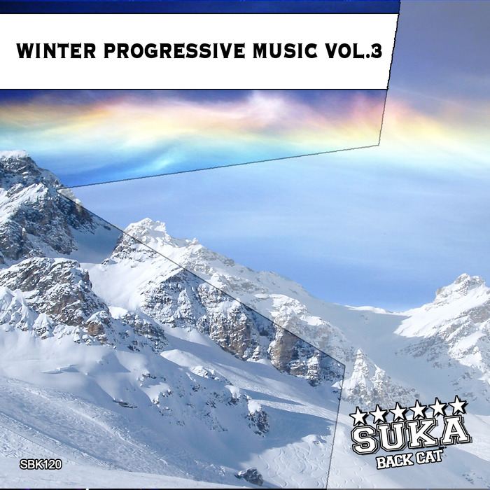 VARIOUS - Winter Progressive Music Vol 3