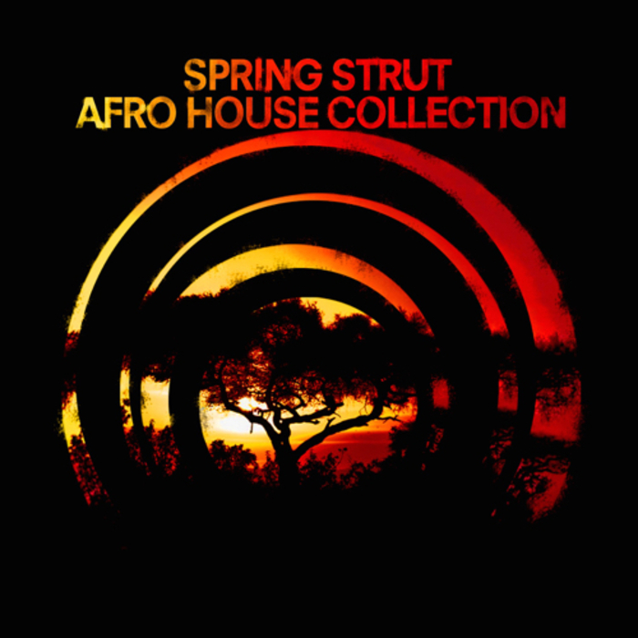 VARIOUS - Spring Strut Afro House Collection