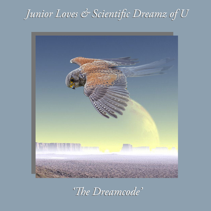 SCIENTIFIC DREAMZ OF U - The Dreamcode