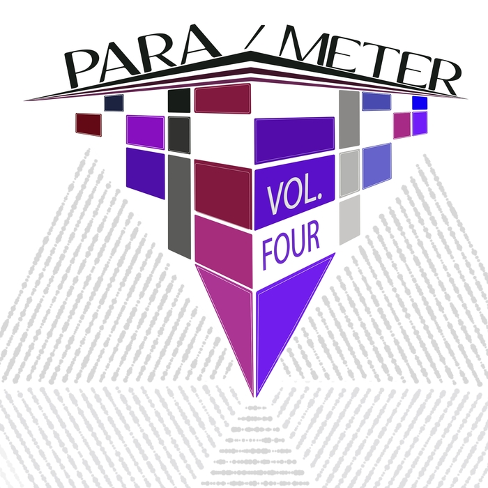 VARIOUS - Para Meter Vol 4