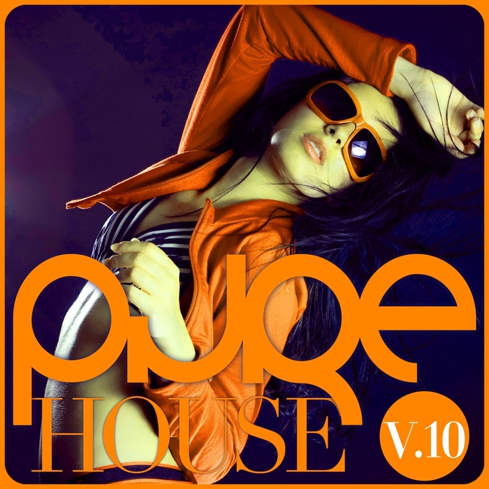 VARIOUS - Pure House Vol 10