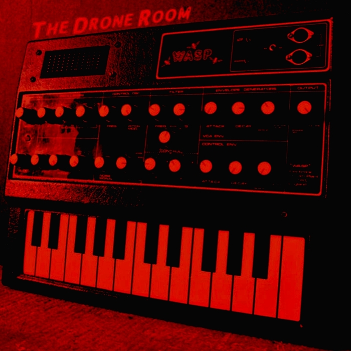 DRONE ROOM, The - Wasp