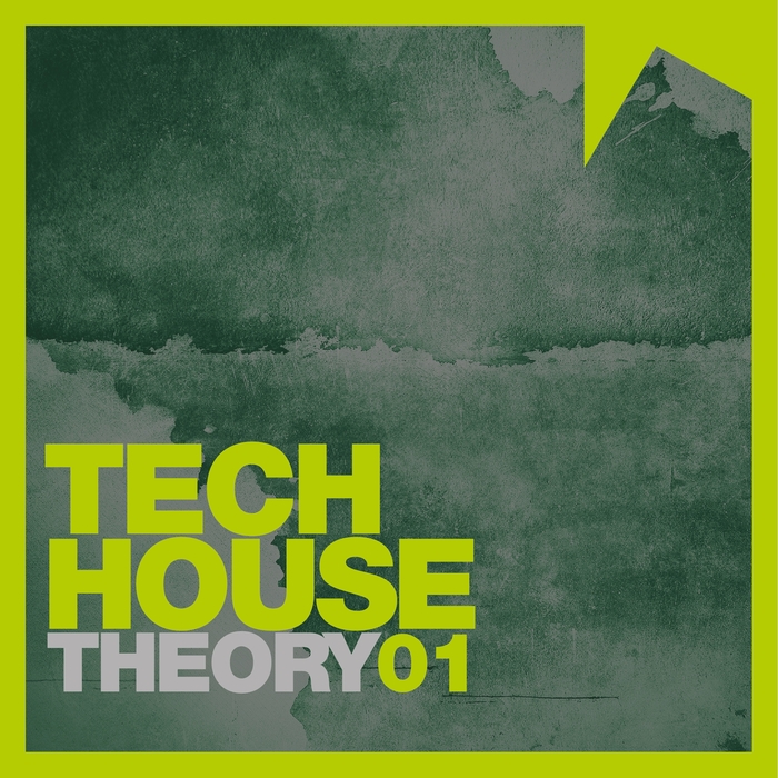 VARIOUS - Tech House Theory Vol 1