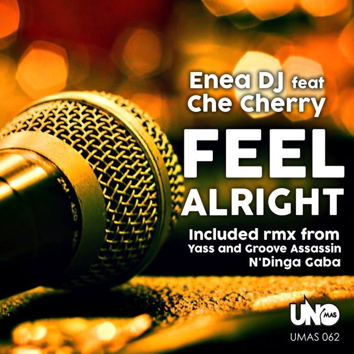 ENEA DJ feat CHE CHERRY - Feel Alright (remixes)