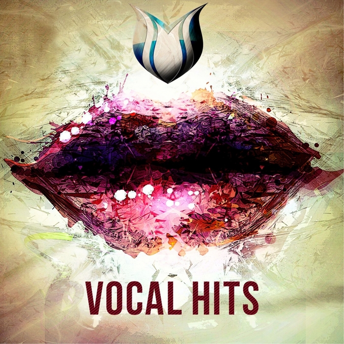 VARIOUS - Vocal Hits
