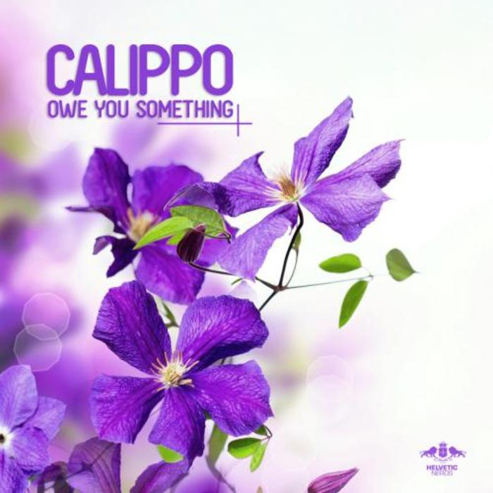 CALIPPO - Owe You Something