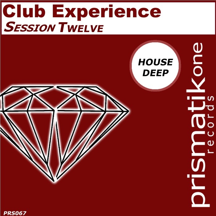 VARIOUS - Club Experience Session Twelve