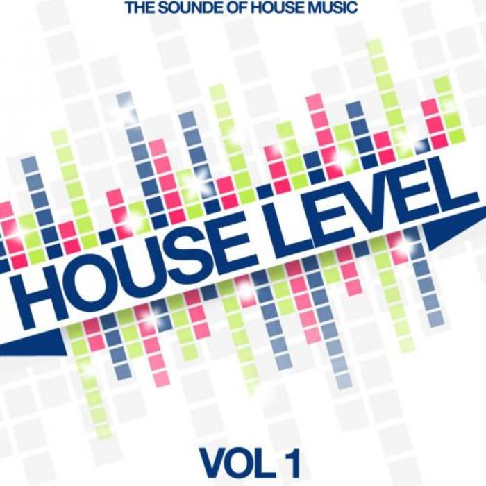 VARIOUS - House Level Vol 1