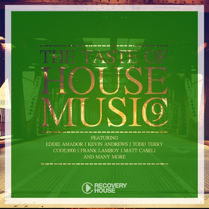 VARIOUS - The Taste Of House Music Vol 9