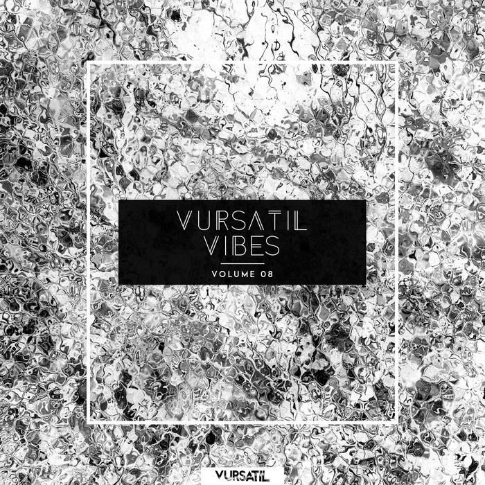 VARIOUS - Vursatil Vibes 08