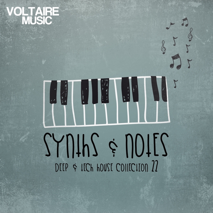 VARIOUS - Synths & Notes 22