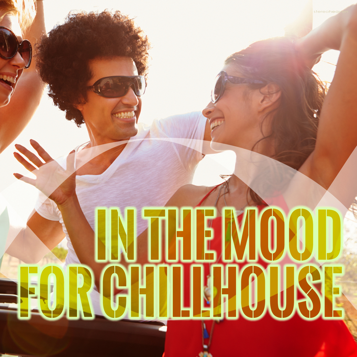 VARIOUS - In The Mood For Chillhouse