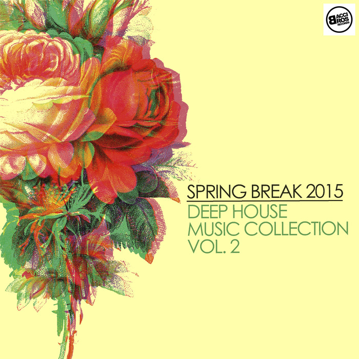 VARIOUS - Spring Break 2015 Deep House Music Collection Volume 2