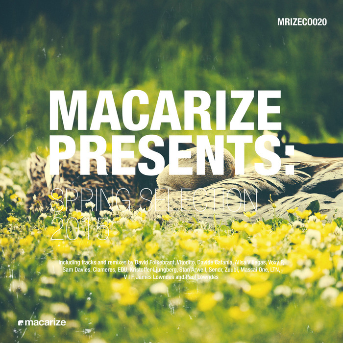 VARIOUS - Macarize Spring Selection 2015