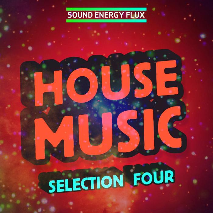 VARIOUS - House Music Selection FOUR