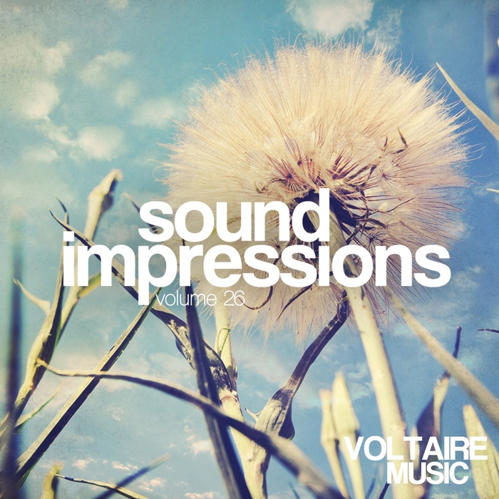 VARIOUS - Sound Impressions Vol 26