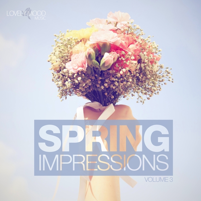 VARIOUS - Spring Impressions Vol 3