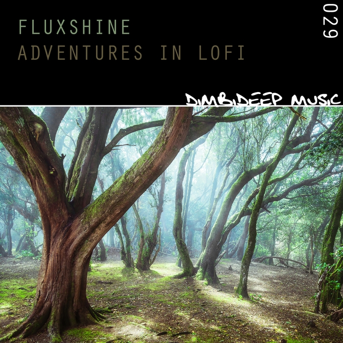 FLUXSHINE - Adventures In Lofi