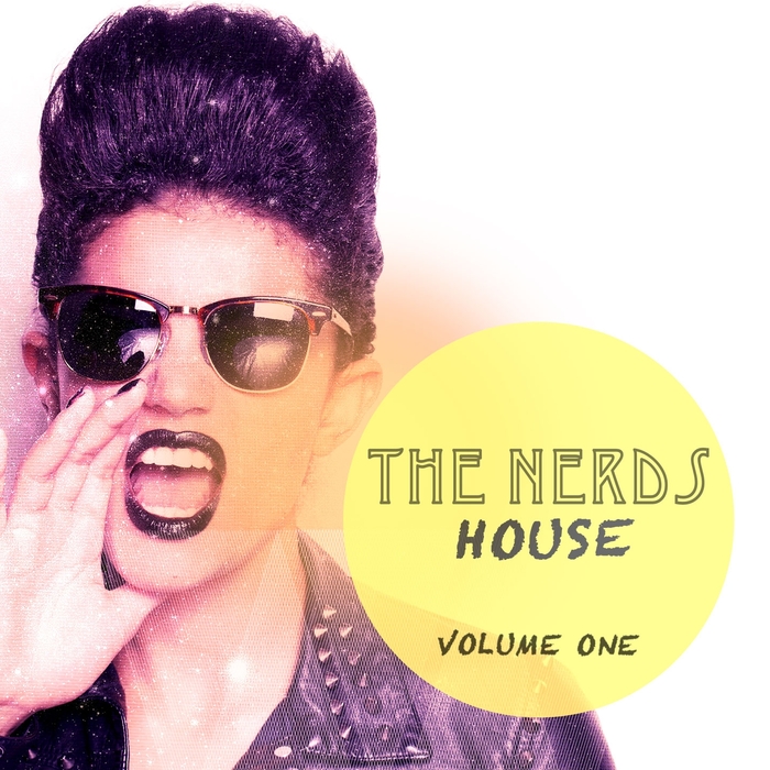 VARIOUS - The Nerds House Vol 1 (unmixed tracks)