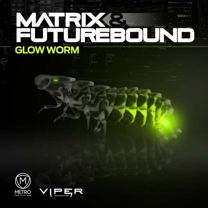 MATRIX & FUTUREBOUND - Glow Worm