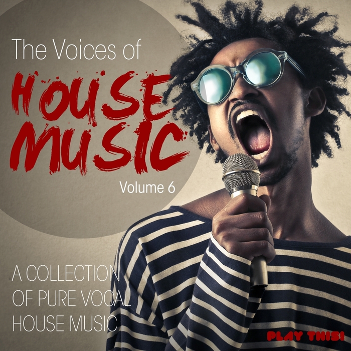 VARIOUS - The Voices Of House Music Vol 6