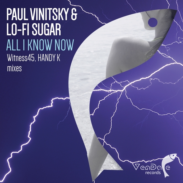 VINITSKY, Paul/LOFI SUGAR - All I Know Now (remixes)