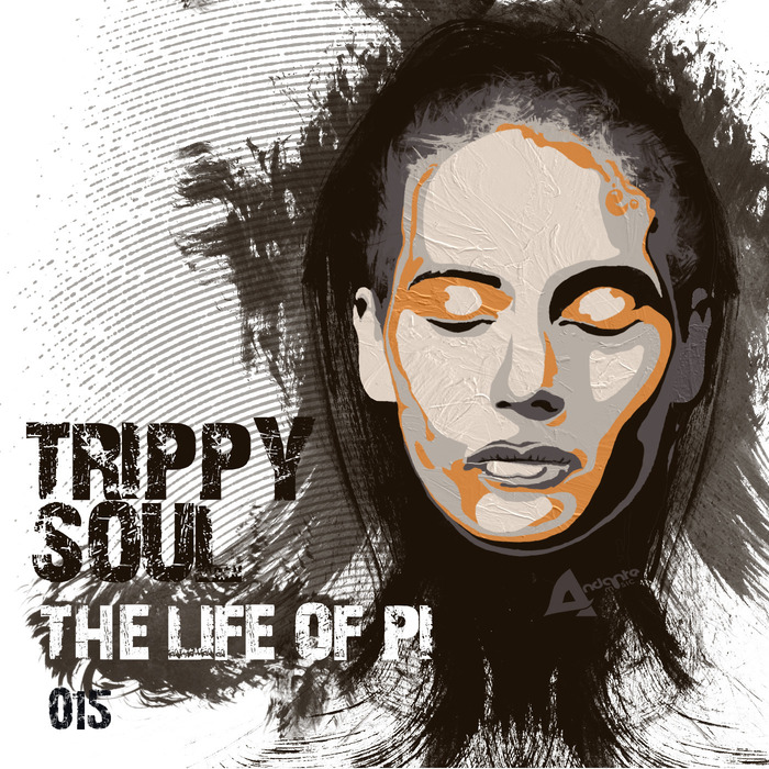 TRIPPY SOUL - The Life Of Pi