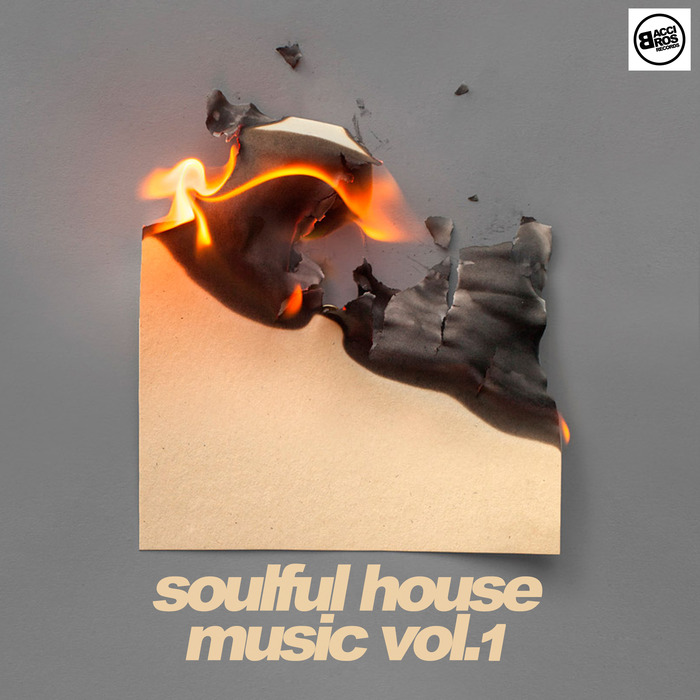 VARIOUS - Soulful House Music Vol 1