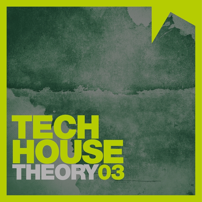 VARIOUS - Tech House Theory Volume 3