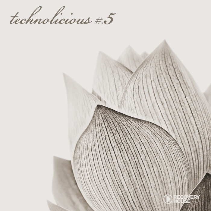 VARIOUS - Technolicious #5