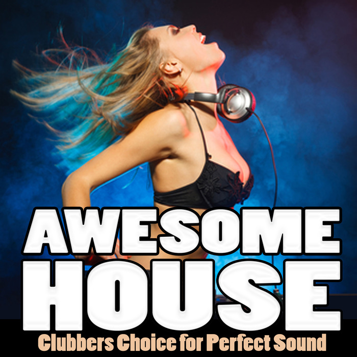VARIOUS - Awesome House Vol 1 (Clubbers Choice For Perfect Sound)