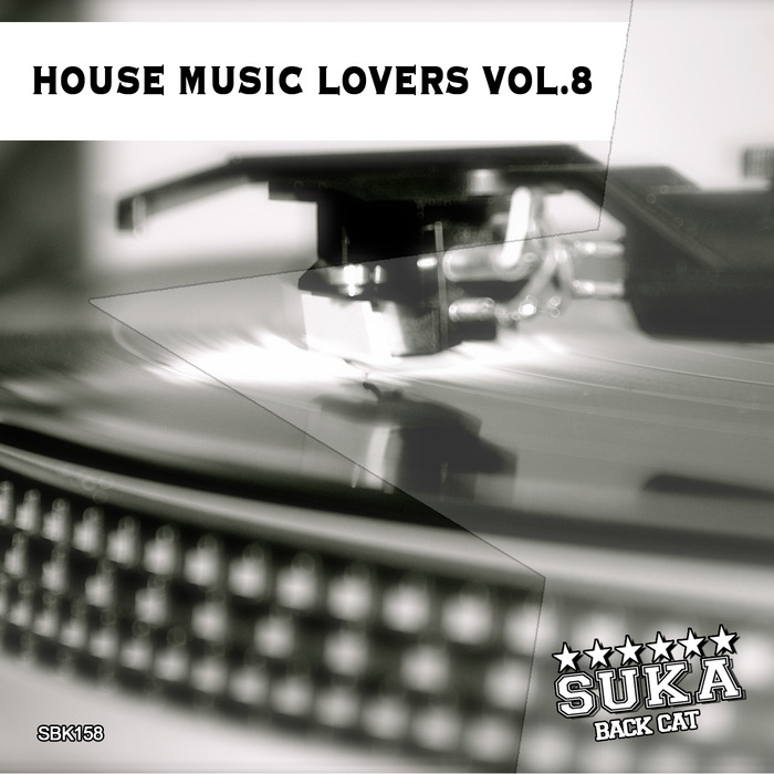 VARIOUS - House Music Lovers Vol 8