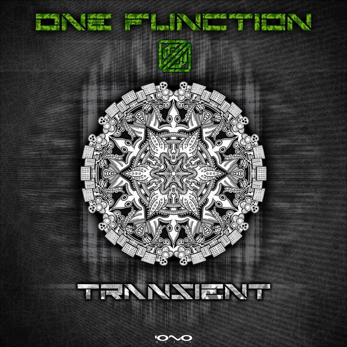 ONE FUNCTION - Transient
