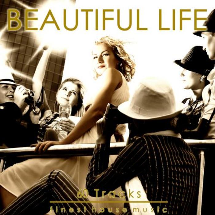 VARIOUS - Beautiful Life