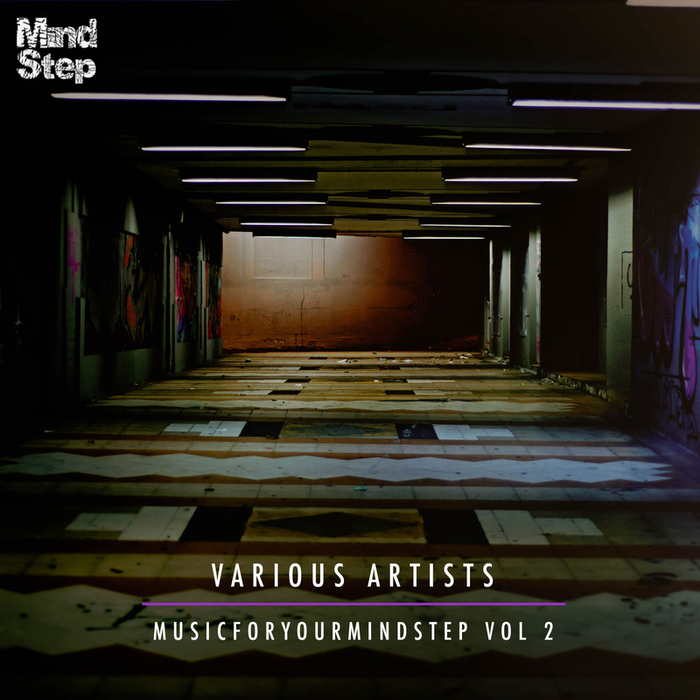 VARIOUS - MusicForYourMindStep Vol 2